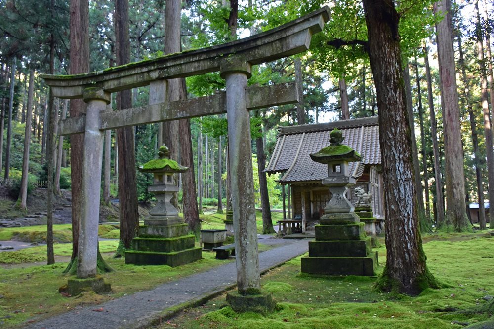 神社と苔との調和