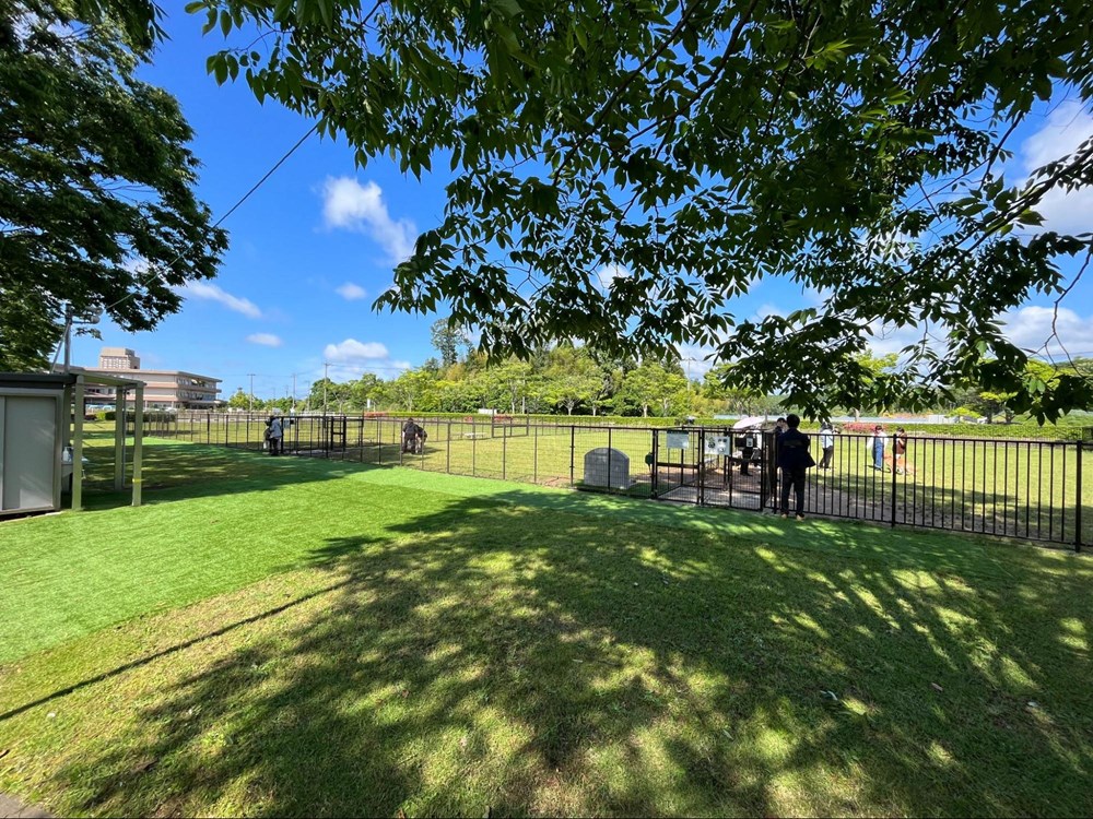 木場潟公園 ドッグラン