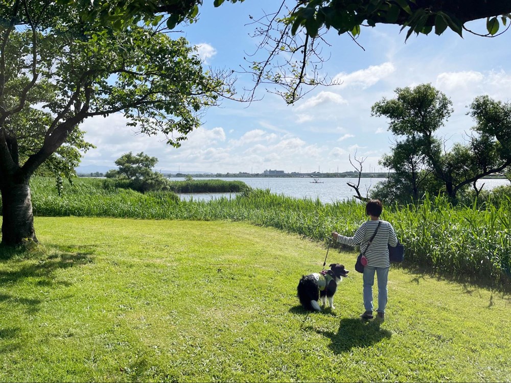 木場潟公園