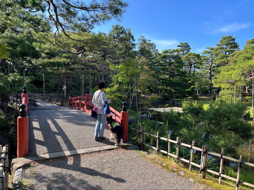 芦城公園