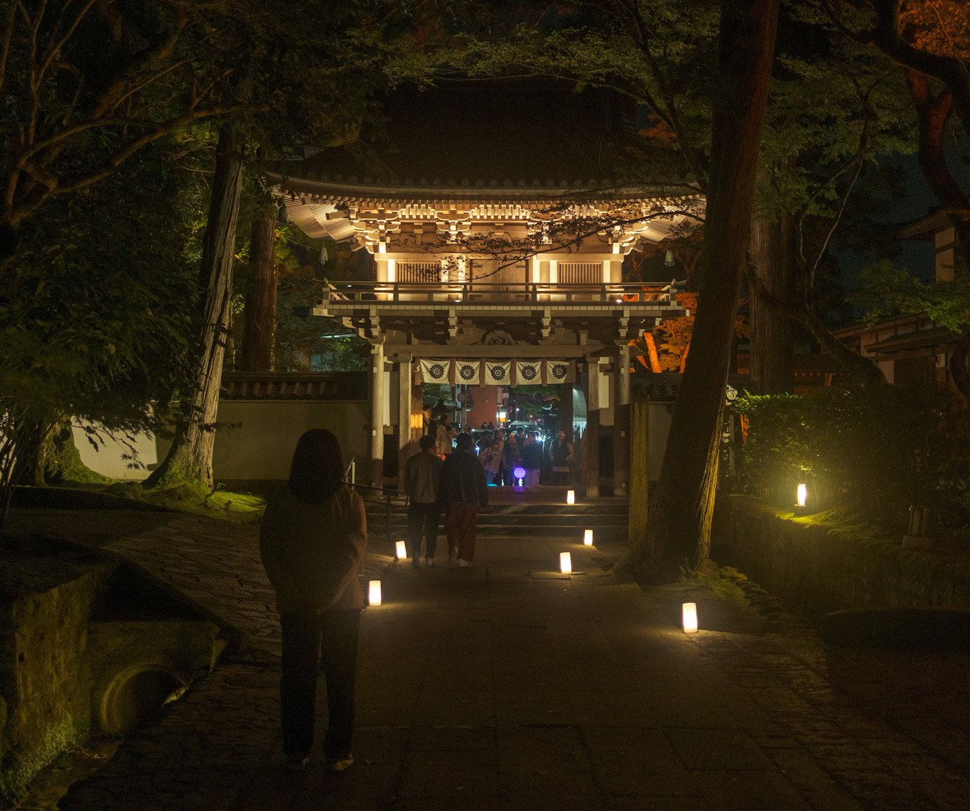 那谷寺ライトアップ 山門