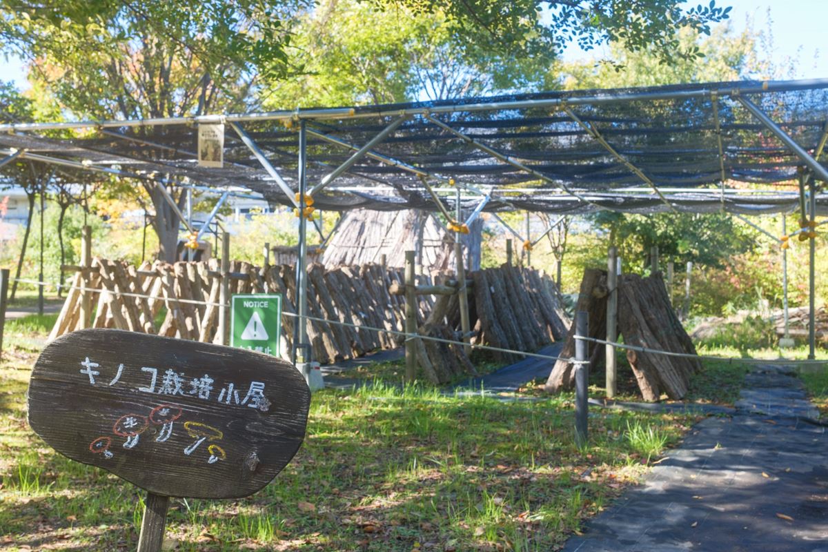 げんき里山 キノコ栽培小屋